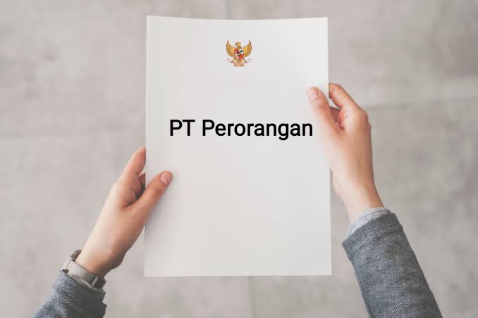 PT Perorangan 